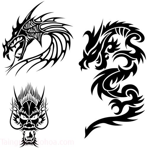 dragon_tattoo 5