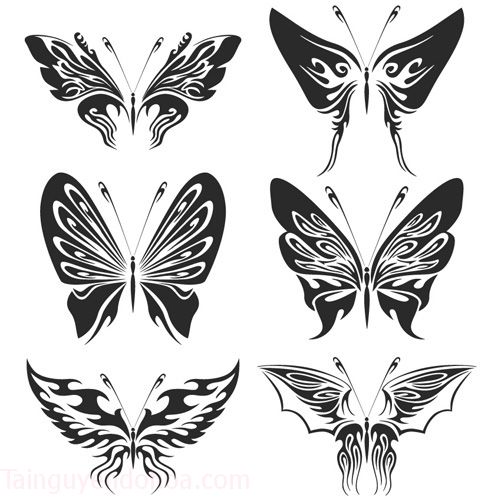 Free-Butterflies-Collection