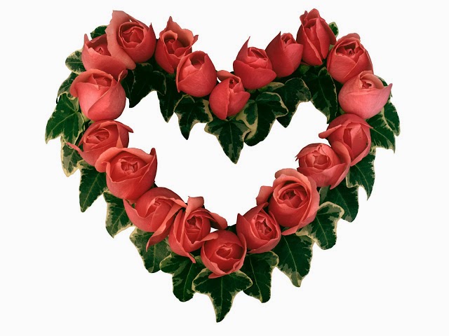 Hoa ngày lễ tình nhân - Valentine's Day - 7