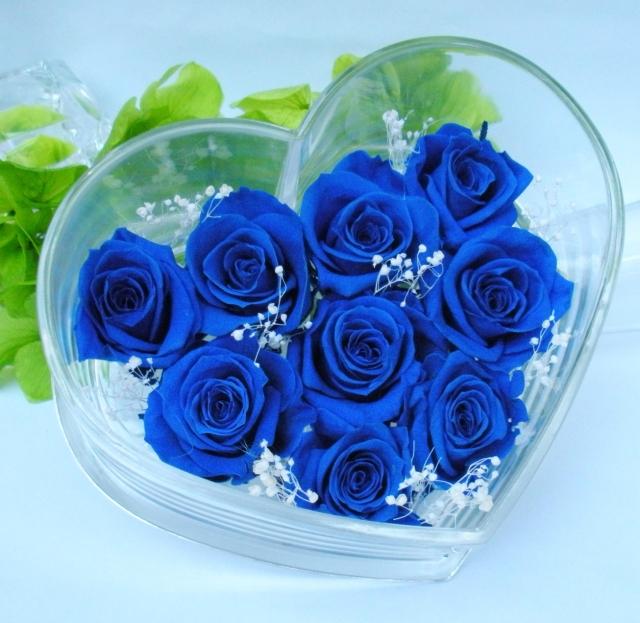 Bạn muốn thấy những bông hoa hồng xanh tươi mát? Hãy xem bức ảnh này. Đó là một loại hoa độc đáo, đầy màu sắc và tinh tế. Với sự kết hợp của màu xanh lá cây và xanh da trời, những bông hoa hồng xanh này là một thước phim hạnh phúc của thiên nhiên.