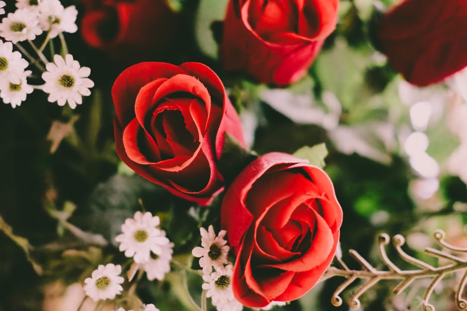 hoa hồng nhung tượng trưng cho tình yêu sai đắm và nồng nhiệt