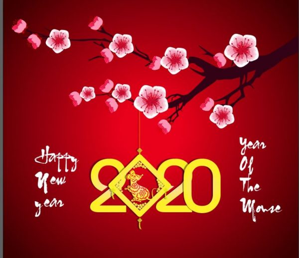 logo spa đẹp 2020