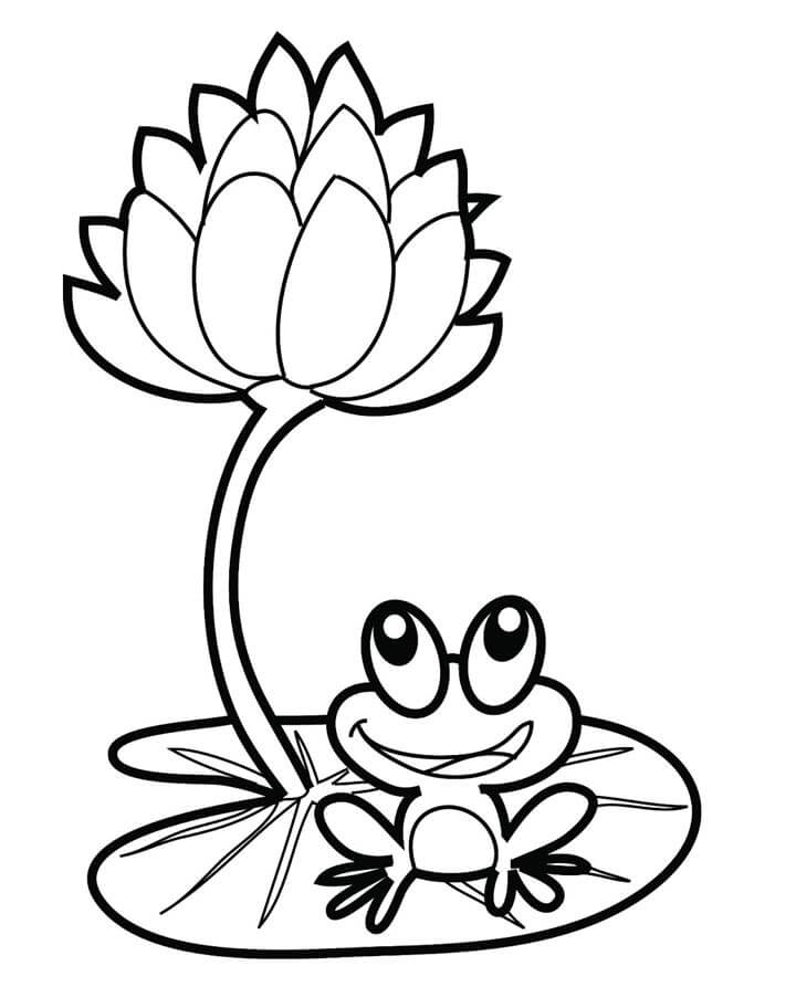 Cách vẽ con bướm đơn giản cho trẻ mầm non How to draw a butterfly  simple  for kids  YouTube